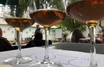 Cata de vinos oxidativos de Jerez y maridaje con quesos en La Vinacería