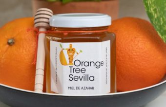 Orange Tree Sevilla
