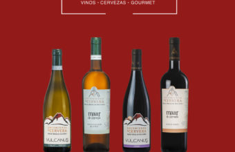 Cata de vinos volcánicos de Almagro en El Almazen