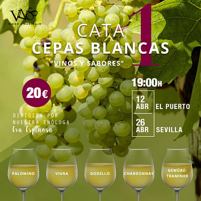 Cata-Cepas_Blancas1_IG_opt