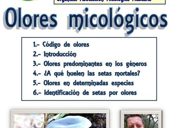 Olores micológicos en la Casa de la Ciencia de Sevilla