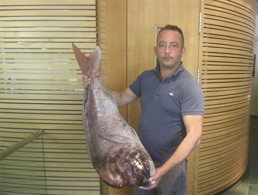 Eduardo Guardiola, la otra clave de Tribeca con un impresionante pescado de roca que ha traido para el restaurante. Foto: Cosasdecome