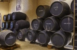 Bodegas Salado celebra la llegada del mosto