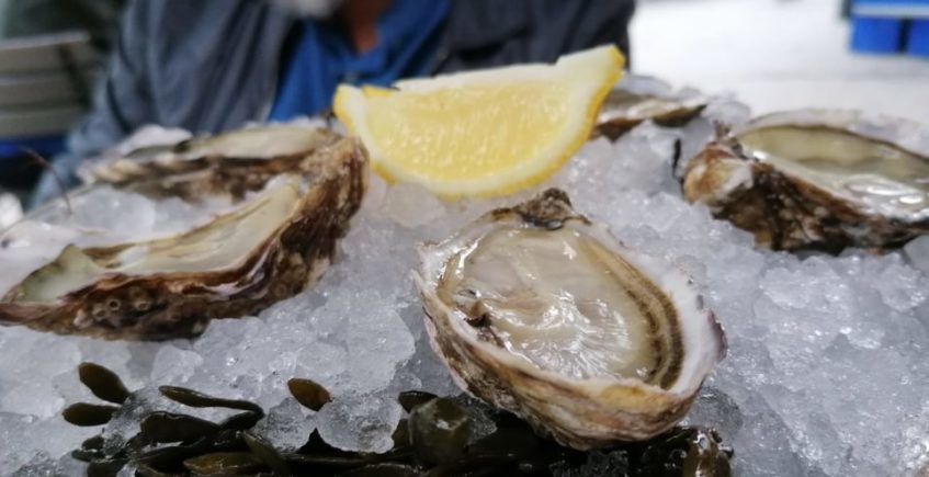 Becerrita celebra la semana de la ostra con muy buena compañía