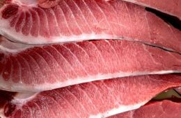Depikofino estrena unas jornadas dedicadas a las tapas de atún rojo
